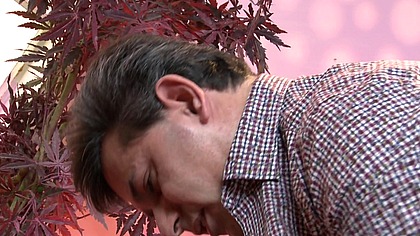 Lou Charmelle Teaches Anal Sex