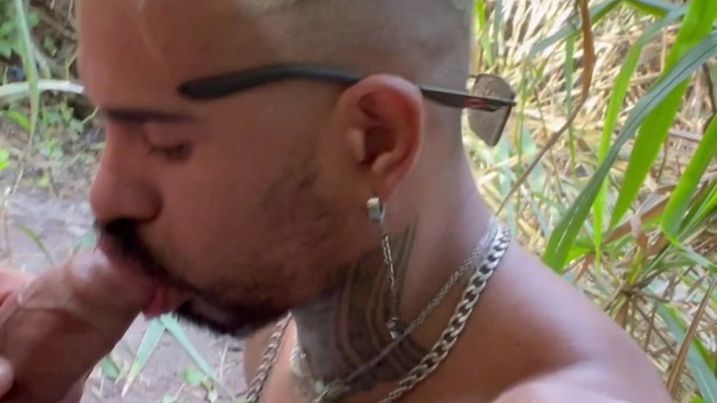 toda vez que vou na floresta (Gabriel Victor, Ronny Aislan) toda vez que vou na floresta (Gabriel Victor, Ronny Aislan)