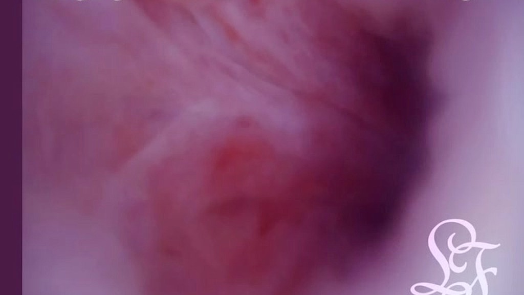 swim through my dick when i cum! (Lina Free) swim through my dick when i cum! (Lina Free)