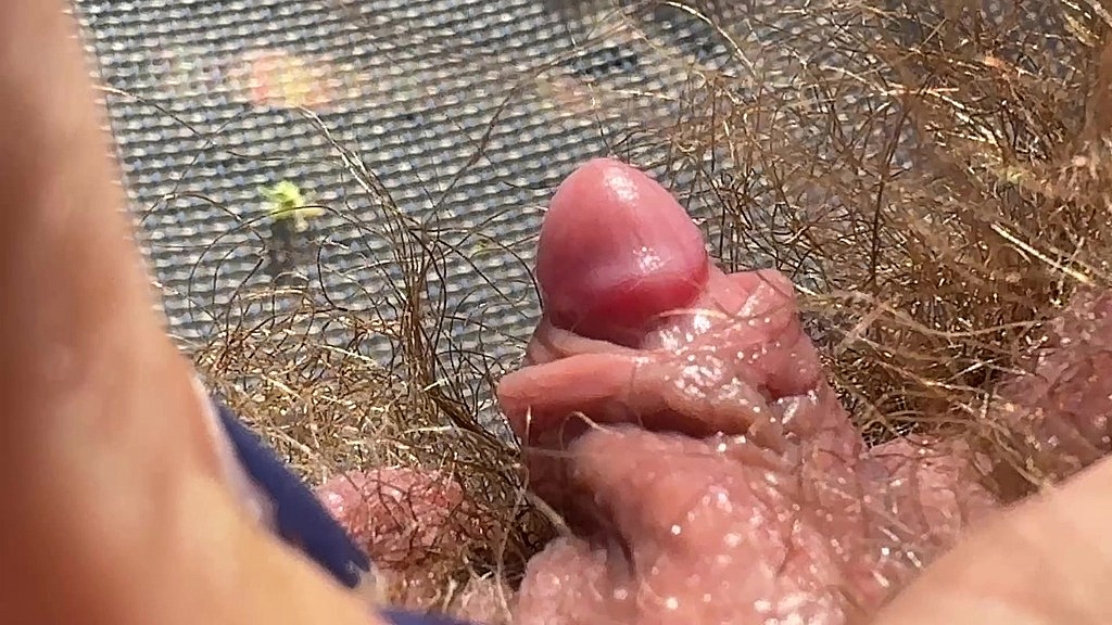 closeup big clit rubbing hairy pussy orgasm in panties amateur (Cutieblonde) closeup big clit rubbing hairy pussy orgasm in panties amateur (Cutieblonde)