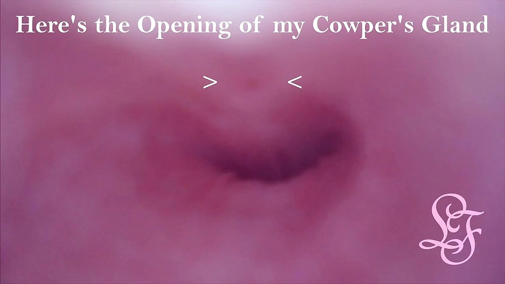 exploring my peehole and finding where i cum from (Lina Free) exploring my peehole and finding where i cum from (Lina Free)
