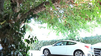 Mischa Brooks Fucks The Cum Out Of His Cock