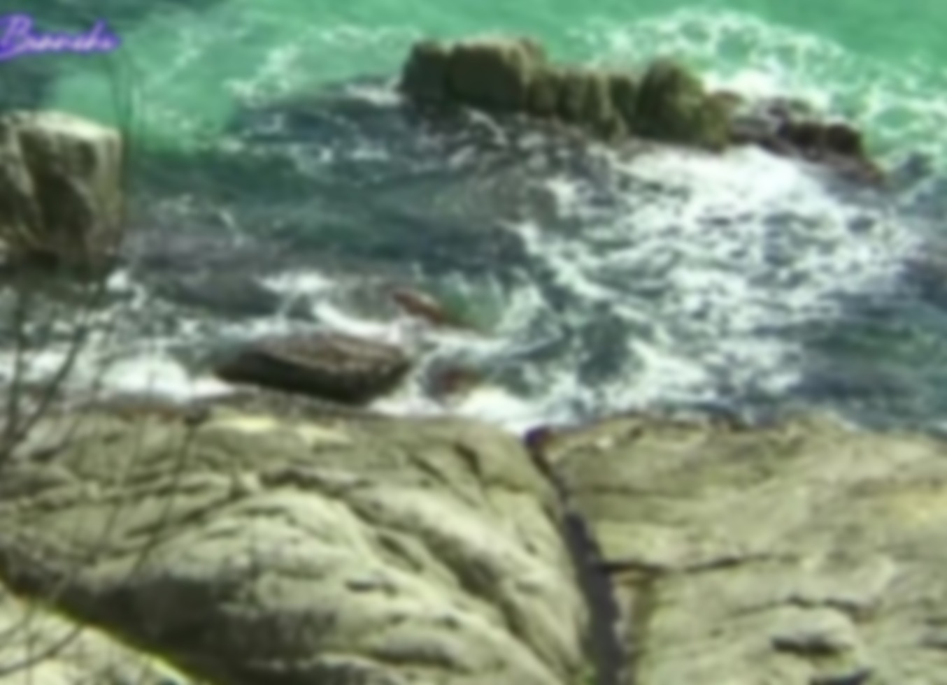 Purefilmstv - Brunette Slut Gets Her Ass Fucked On The Balcony After A Pussy Lick And Is Covered In Cum