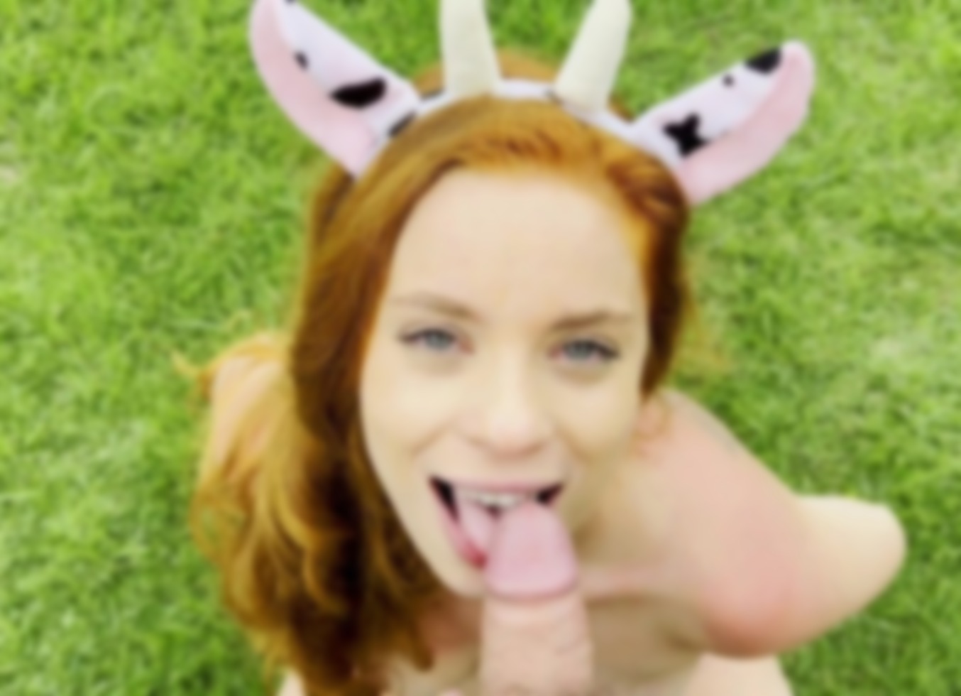 Cow's Blowjob