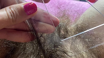 hairy bush measurement closeup