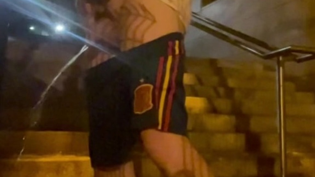 amateur boy caught peeing in the street (Biflatmate) amateur boy caught peeing in the street (Biflatmate)