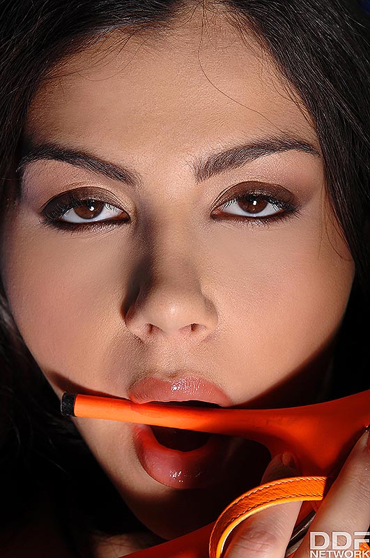 Halloween Scissor Sisters #9