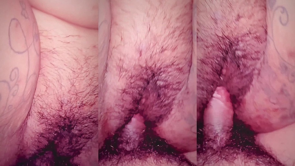 hairy pussy (Beetrip187, Beemines) hairy pussy (Beetrip187, Beemines)