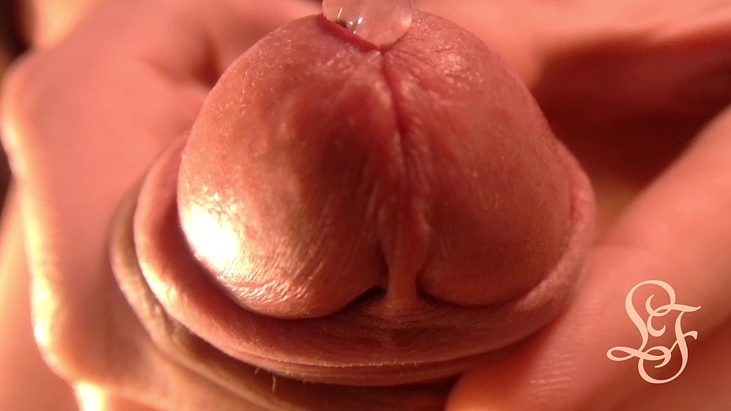 my shiny dick wants to give you a kiss (Lina Free) my shiny dick wants to give you a kiss (Lina Free)