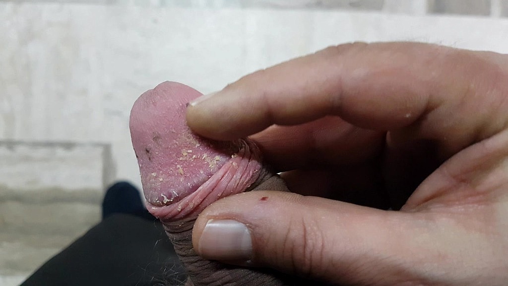 my cheesy dick for you (GianGinestra) my cheesy dick for you (GianGinestra)