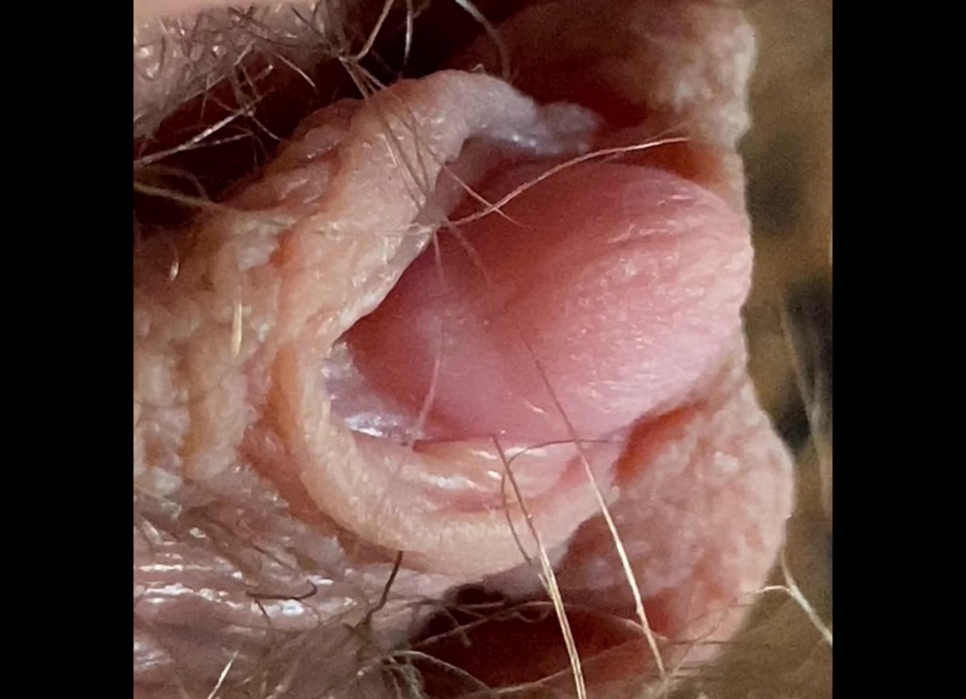 Extreme Closeup Big Clit Hairy Pussy 4K