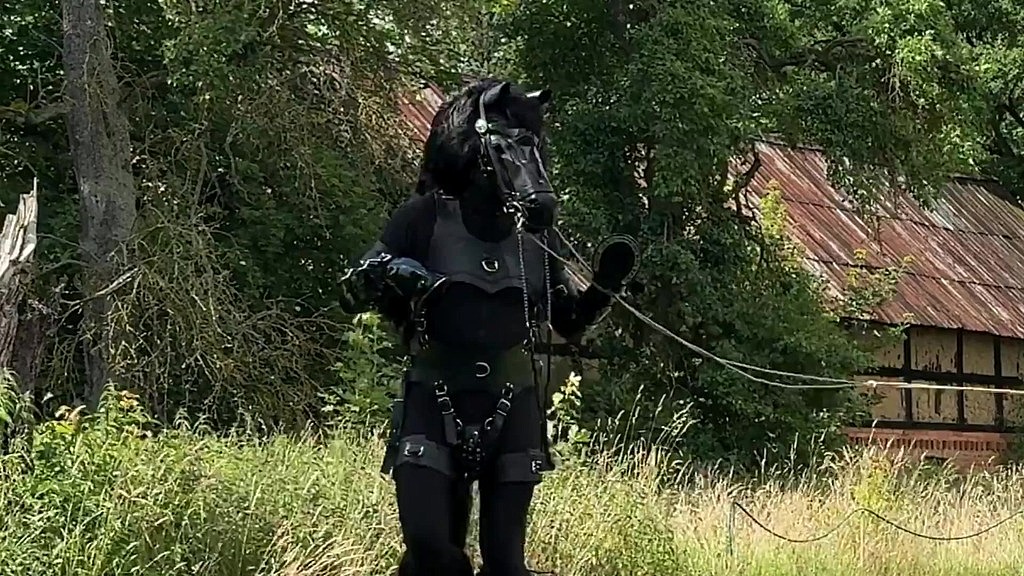 ponyplay training running in circles (Dominatrix Frida, GrayNoice) ponyplay training running in circles (Dominatrix Frida, GrayNoice)