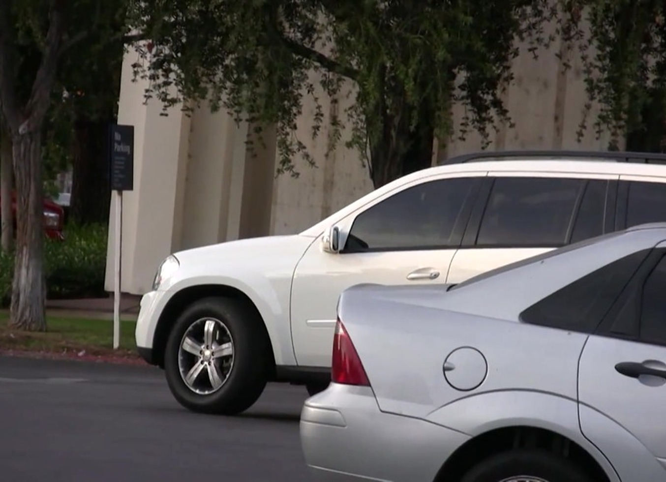 Picking Up Esperanza