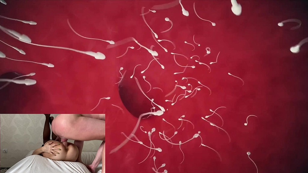 how does fertilization occur deep inside biology (Glero, Laniam) how does fertilization occur deep inside biology (Glero, Laniam)