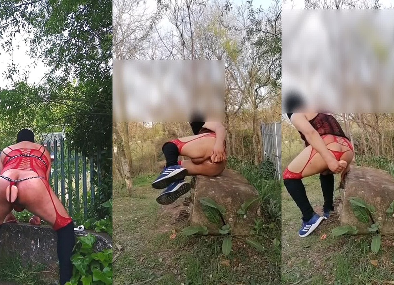 Reymisterio422 - Tarde En El Bosque Solitario - 1000016949 - May 12, 2025