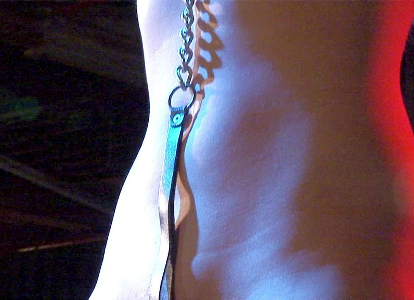 Tory Lane Is A Demented Anal Whore Just Like Brooke Scott