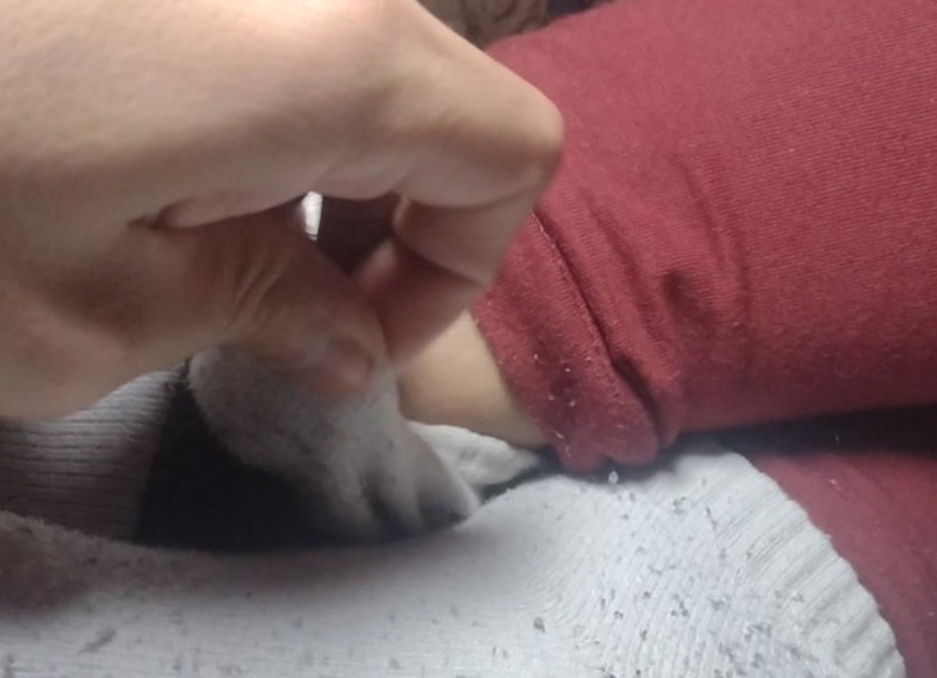 Night 3 - Sleepy Sock Off 1