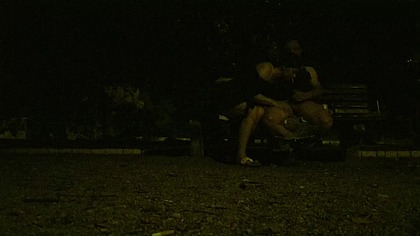 Sucking cock and Doggy Fucking in public park