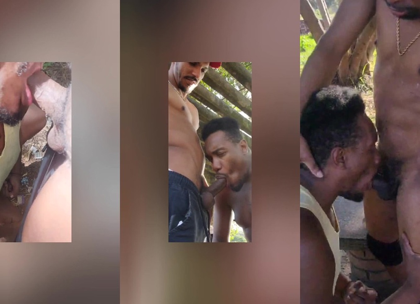 Fui Foder No Mato E Virou Suruba