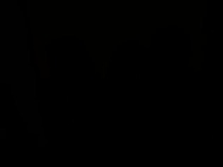 Sexy newcomer Tanya Sin