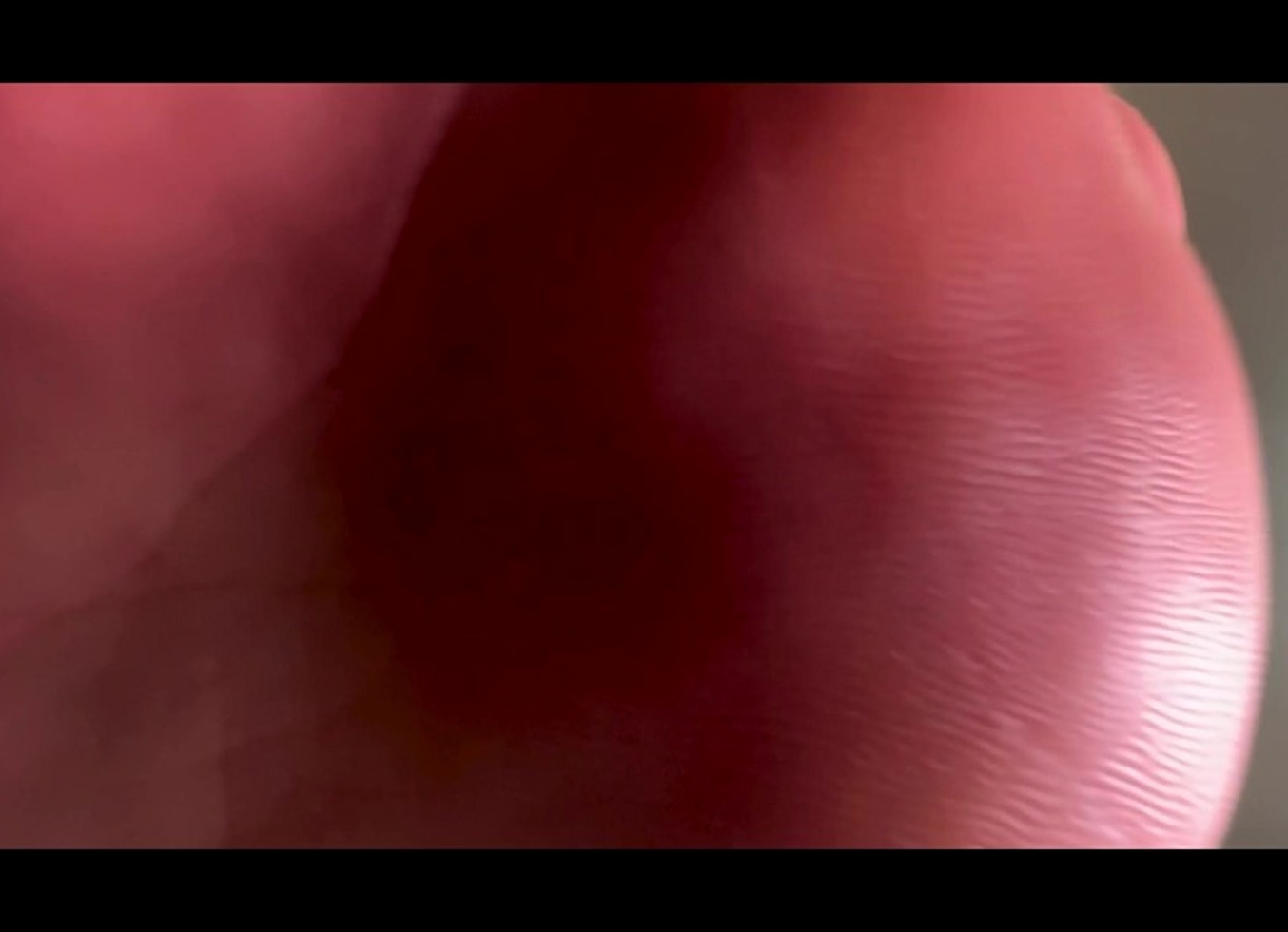 The Miniaturized Admirer(POV)