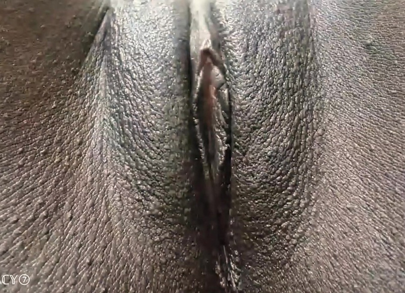 Sexystacy7 - Black Pussy African Teen