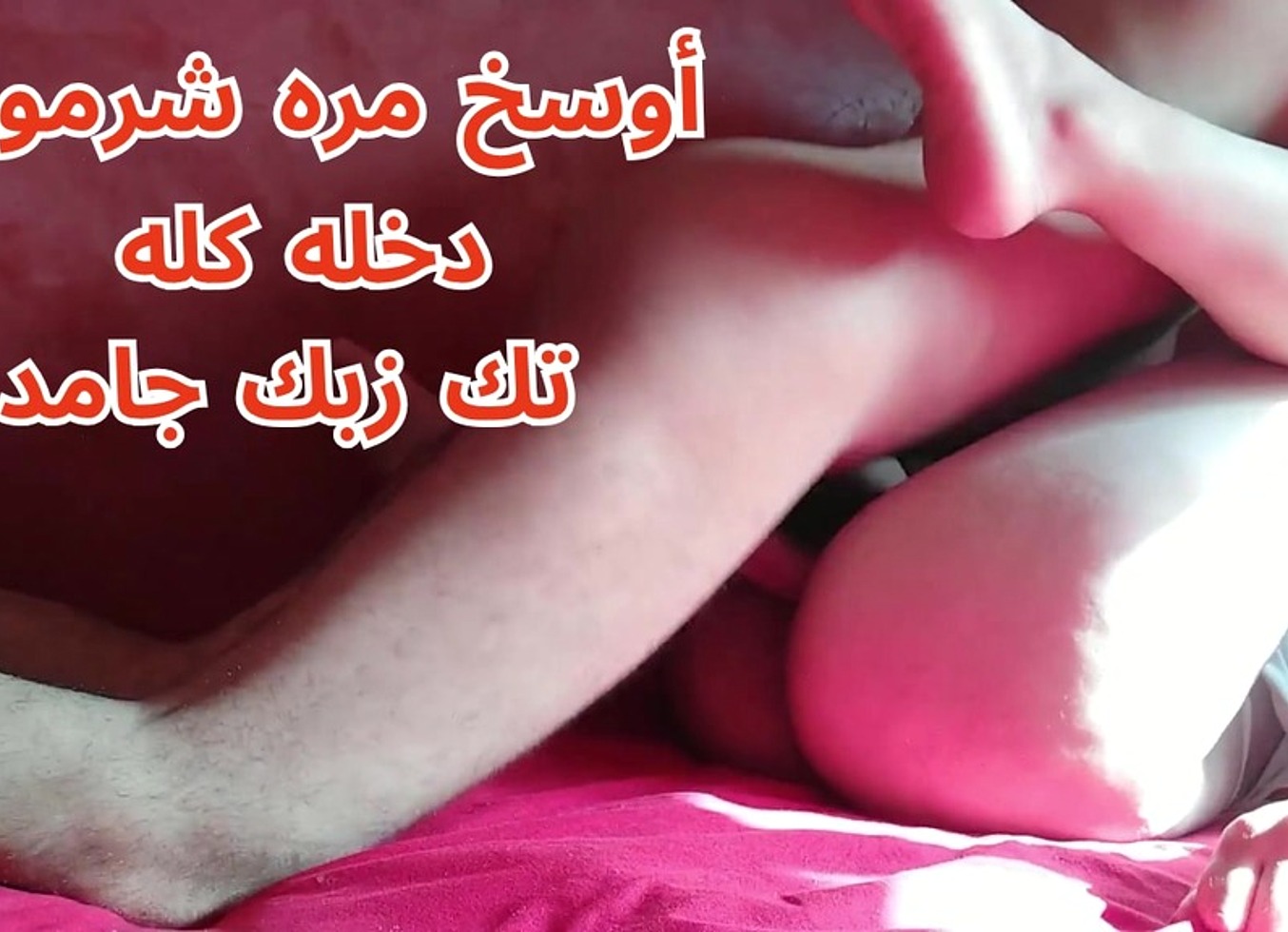 'Wskh Mrh Shrmwt@ Msry@ Bttnk Mn Jrh Lfjryh Sks `Rb~