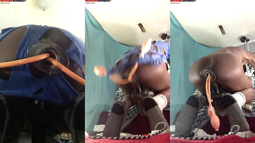 butt plug bouquet - angle 3of5 (Ass Monkey, Dj Buttpussy) butt plug bouquet - angle 3of5 (Ass Monkey, Dj Buttpussy)