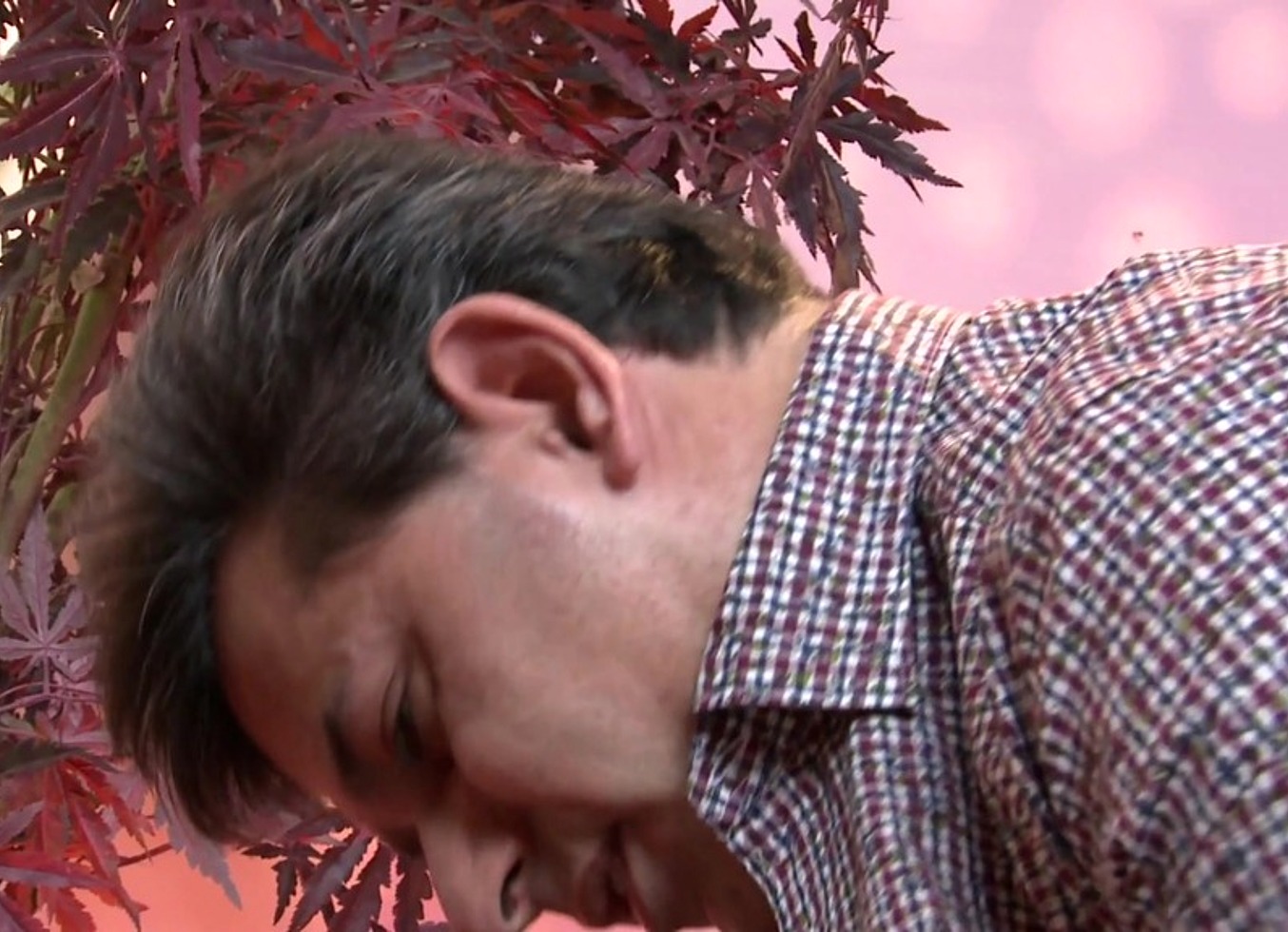 Lou Charmelle Teaches Anal Sex