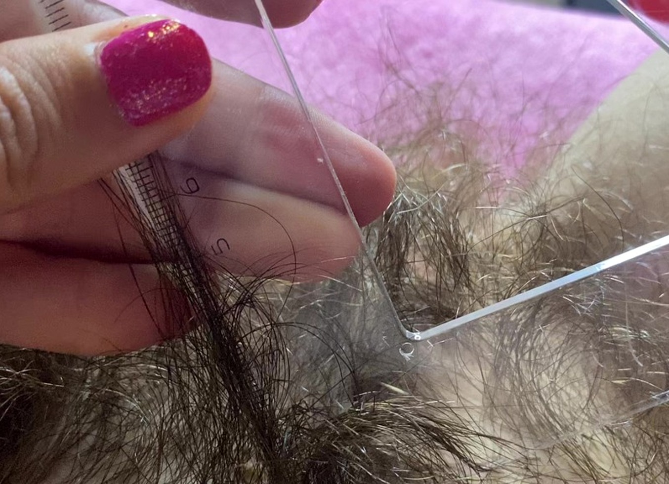 Hairy Bush Measurement Closeup