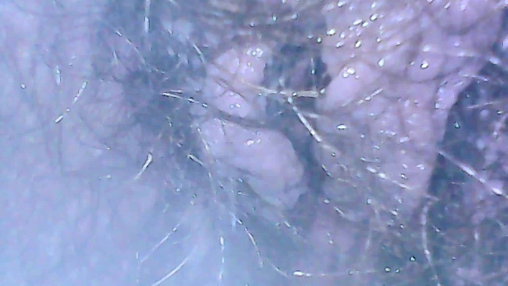 microcam near my asshole (Nicoletta Embassi) microcam near my asshole (Nicoletta Embassi)