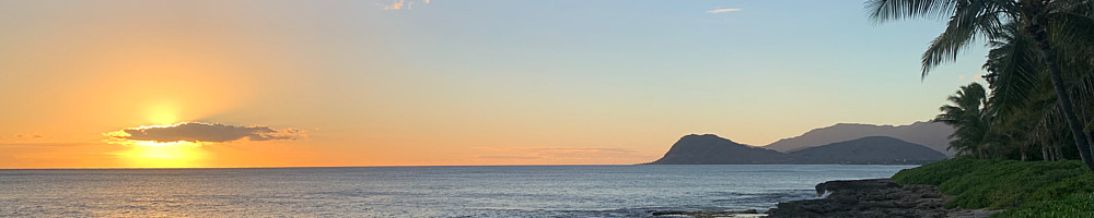 Nasty Nat profile poster