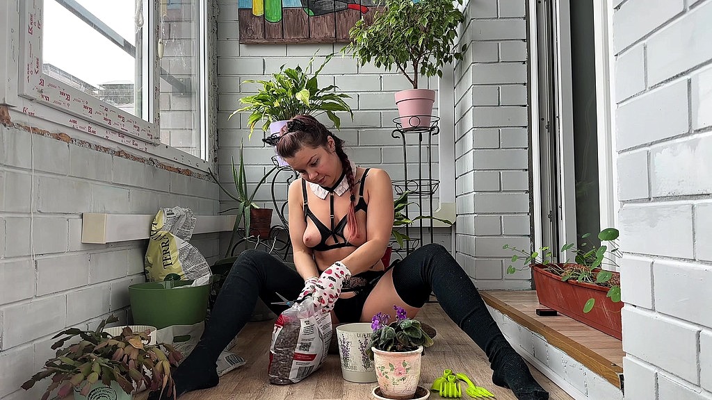 my neighbours have a premium subscription to my balcony (Renata Fox) my neighbours have a premium subscription to my balcony (Renata Fox)