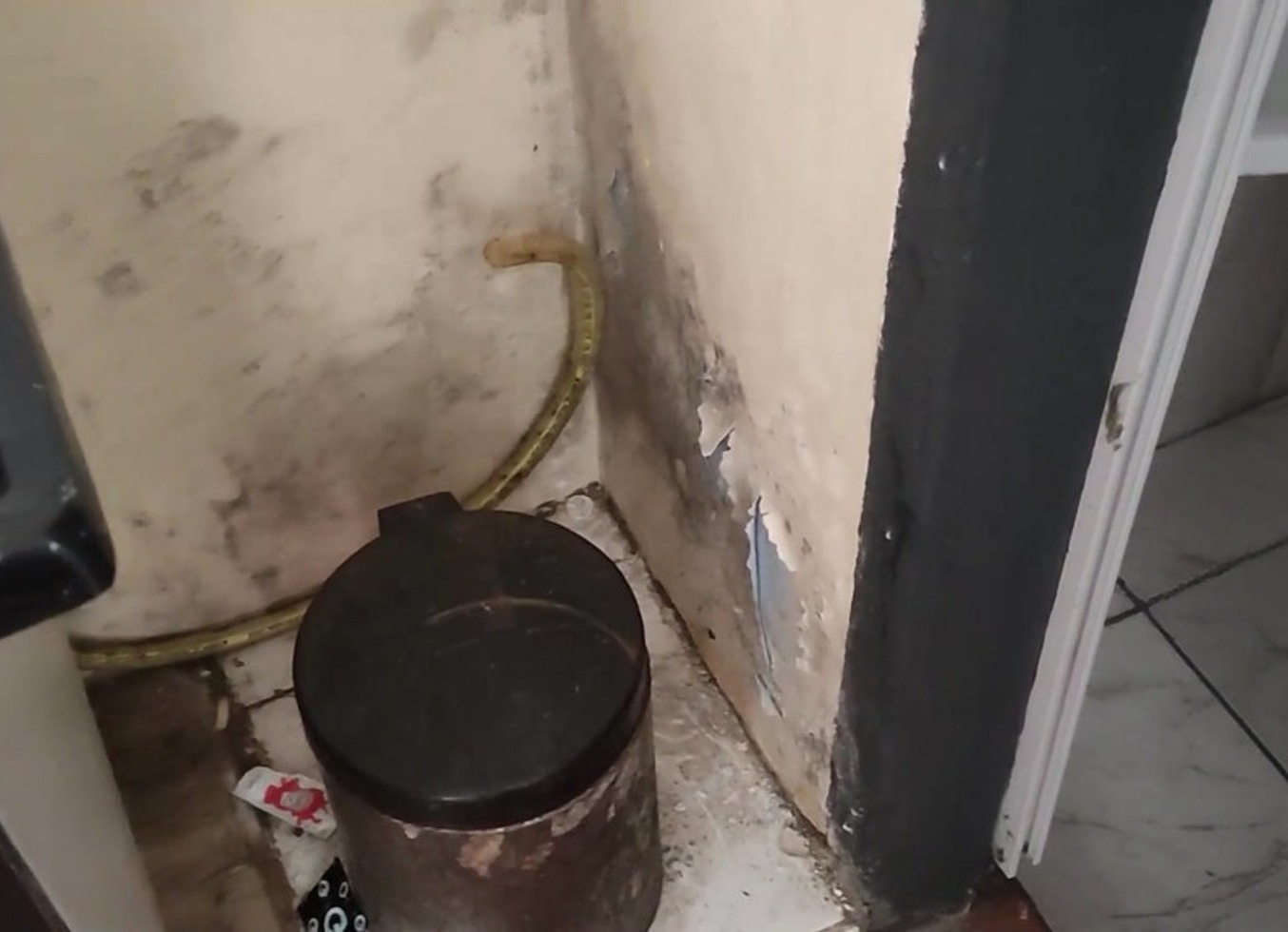 Vendi Minha Casa De 40 Mil Reais E Fui Reformar Minha Outra Casa De 300 Mil Reais