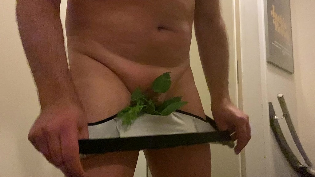 stinging nettles in my briefs (Neo) stinging nettles in my briefs (Neo)
