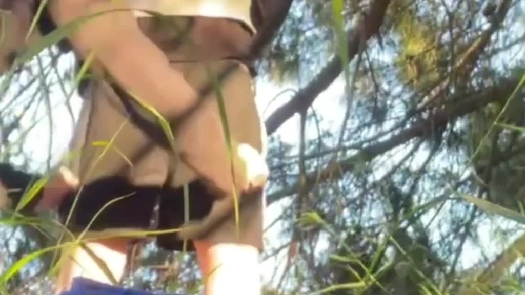 compilation - amateur - depantsed in public (Biflatmate, Shyflatmate, FrenchMate22) compilation - amateur - depantsed in public (Biflatmate, Shyflatmate, FrenchMate22)