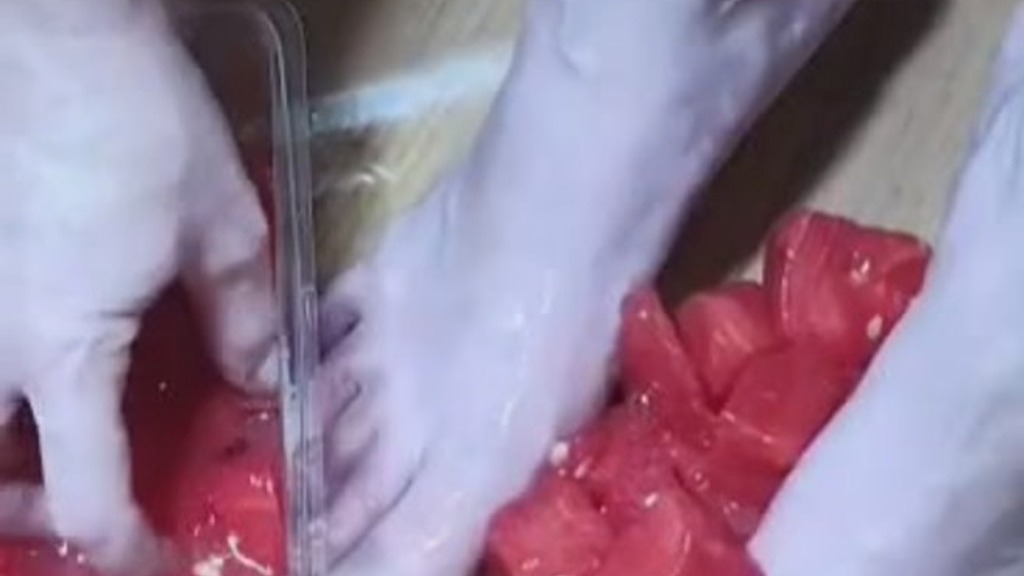 watermelon (Afamilytoeaffair) watermelon (Afamilytoeaffair)