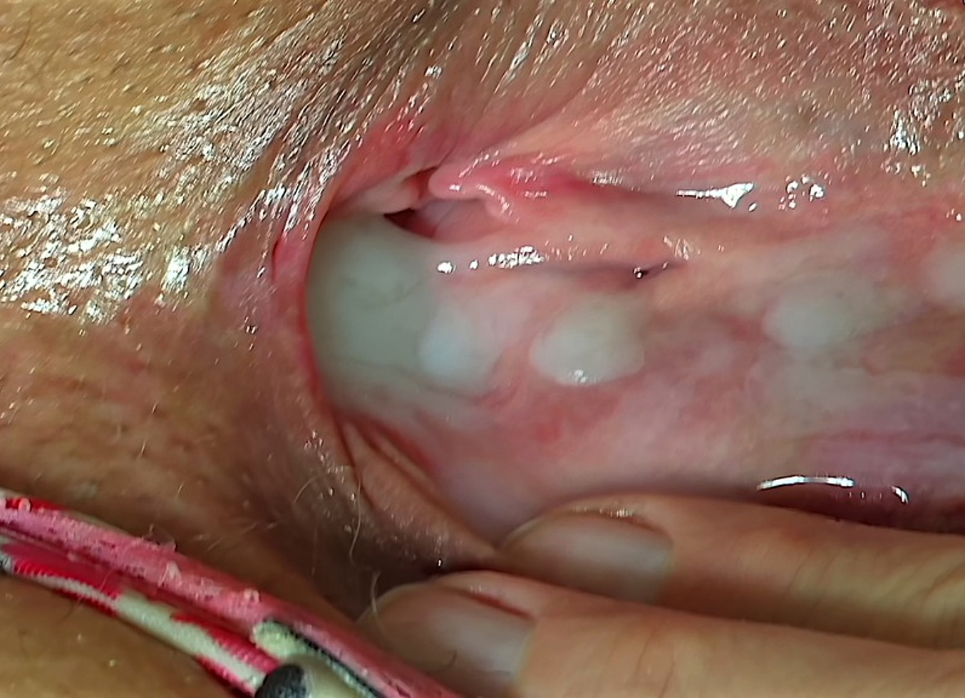 Best & Most Popular Creampie Compilation, Big Cumshots, Cum In Inside Mouth Swallow, Cum Dripping, Pussy Full Of Cum, Handjob, Squirt & Jerking Off Black Cock On Fat BBW Ssbbw