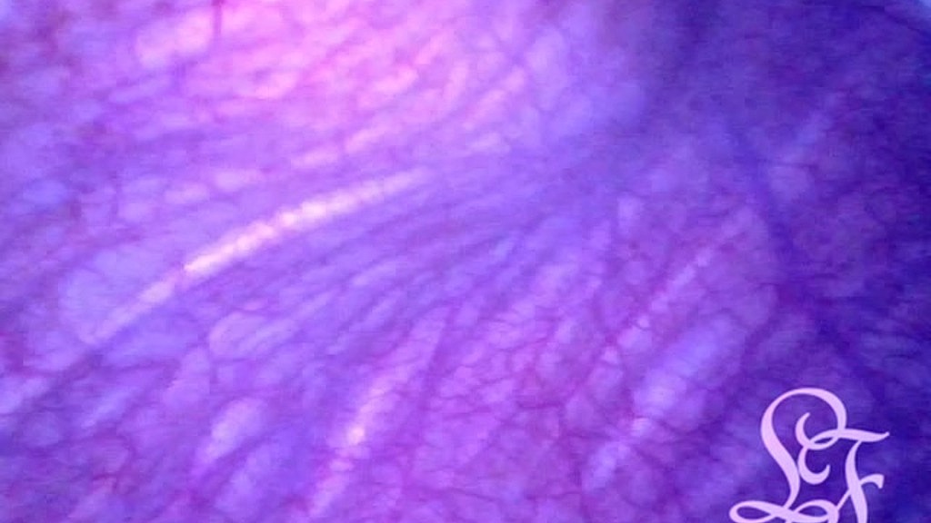 extreme pressure inside pov of my bladder and urethra (Lina Free) extreme pressure inside pov of my bladder and urethra (Lina Free)