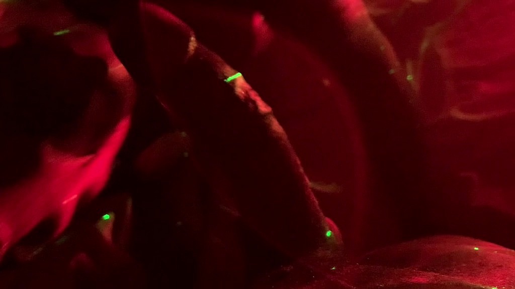 blow job (Fire Girl, Raw beast) blow job (Fire Girl, Raw beast)