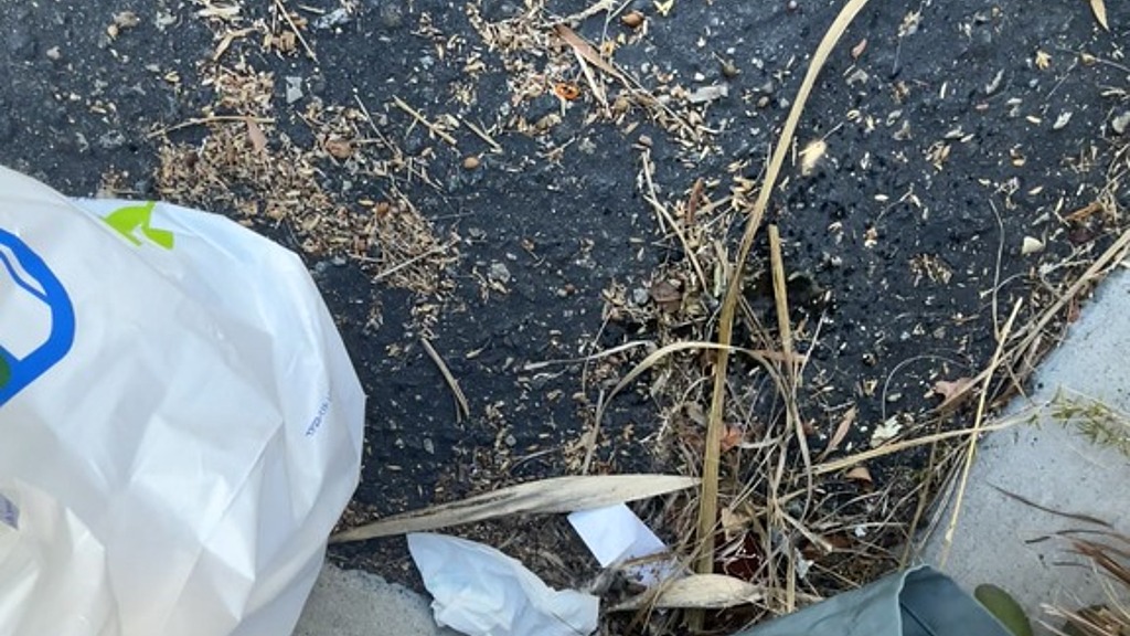 parking lot piss haha (Donte Thick) parking lot piss haha (Donte Thick)