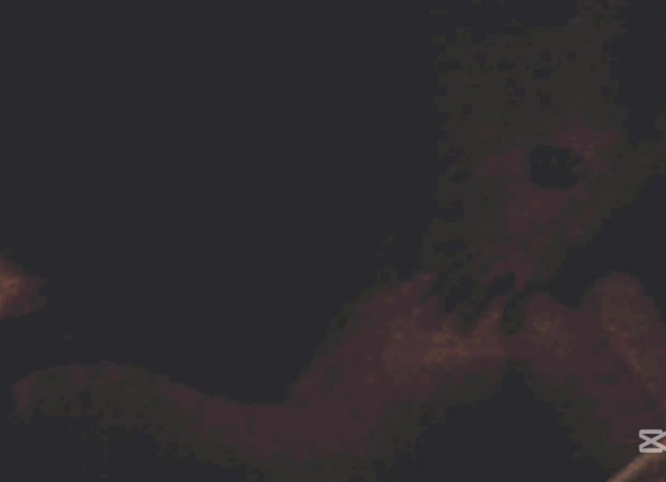 Gritona Hermosa