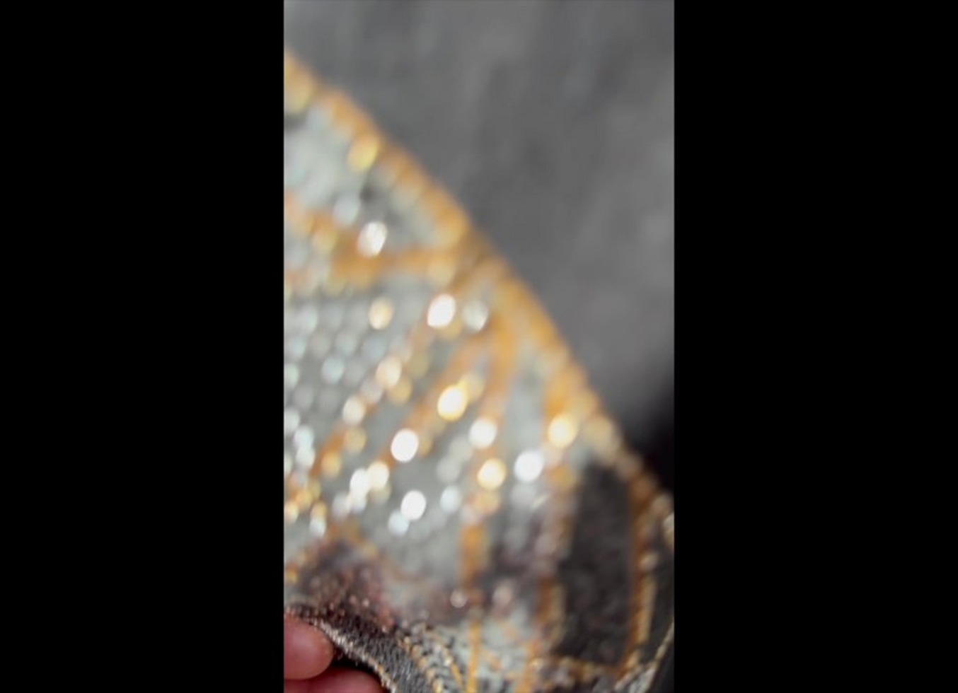 Roca Cogida A Mi Mujer Antes De Ie Al Trabajo