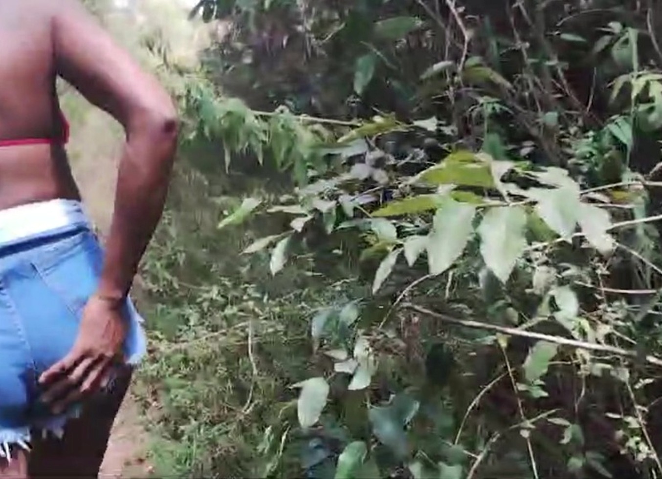 Casada Deu No Mato Para O Guia De Trilhas