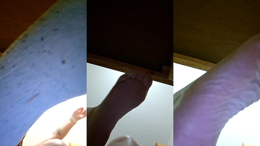 foot domination video (Thicknjuicyover40) foot domination video (Thicknjuicyover40)