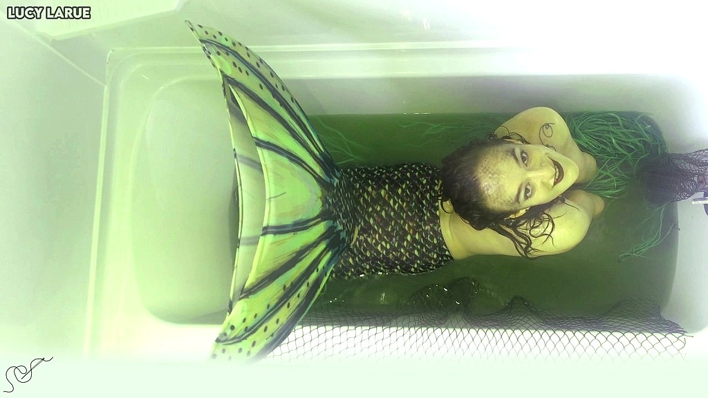 swamp mermaid tank (Lucy LaRue) swamp mermaid tank (Lucy LaRue)