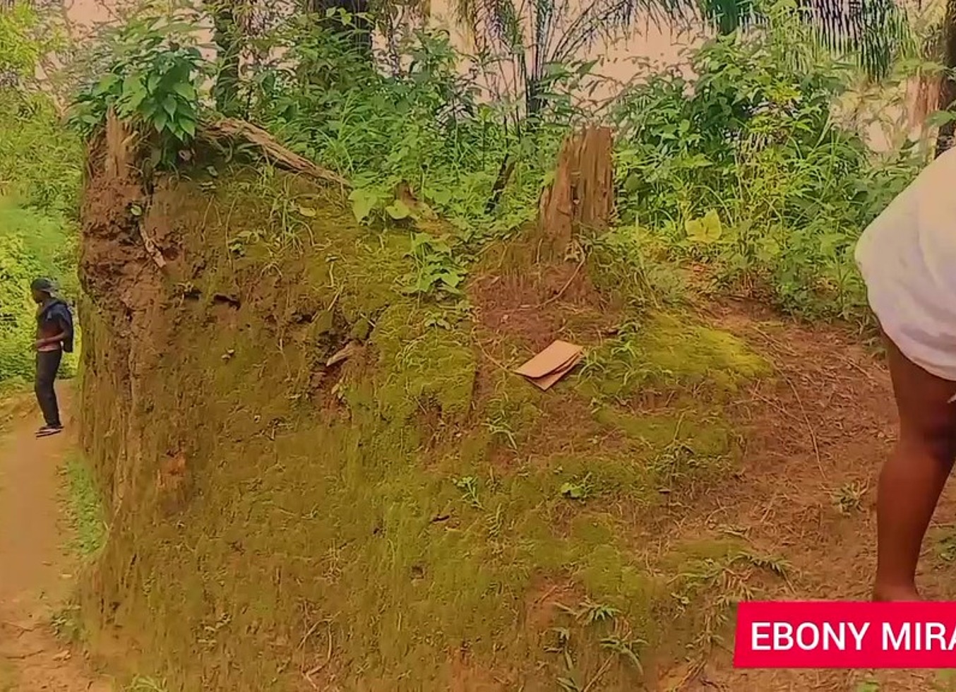 Our Lady The Queen Of Forest Fuck With A Stranger And She Enjoying What She Missed For A Long Time