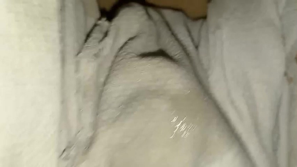 una deliciosa meada con mi panal y pantalon puesto y de paso deliciosa pajita y doble orgssmo (Sotowet) una deliciosa meada con mi panal y pantalon puesto y de paso deliciosa pajita y doble orgssmo (Sotowet)